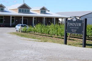 pondview-estate-winery-niagara