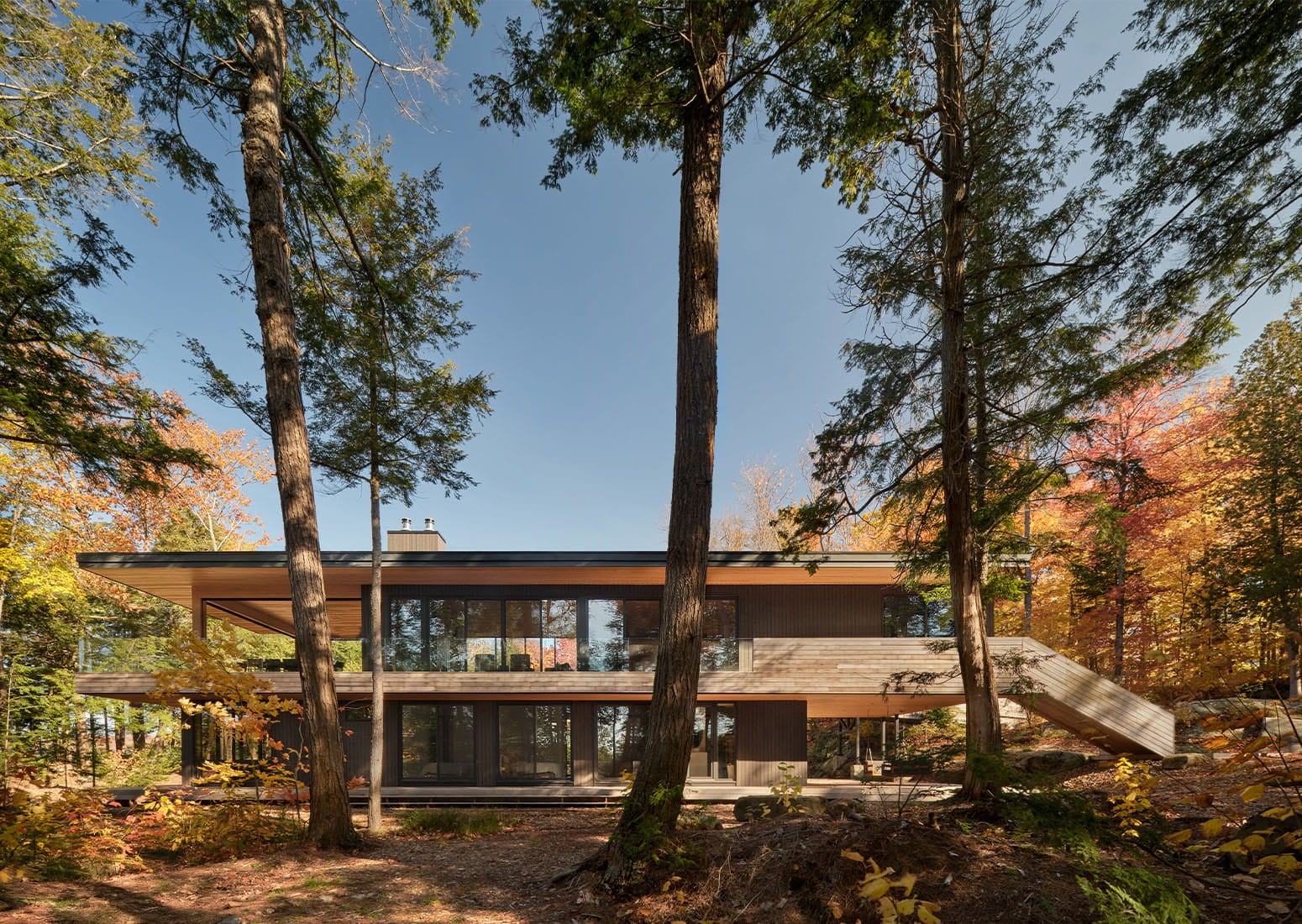 Dubbeldam0 The cottage’s transparency is visible from the forest, and the upper deck offers a covered outdoor living area submerged in
the treetops. | Photo By Riley Snelling